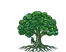 Ausable Tree Service
